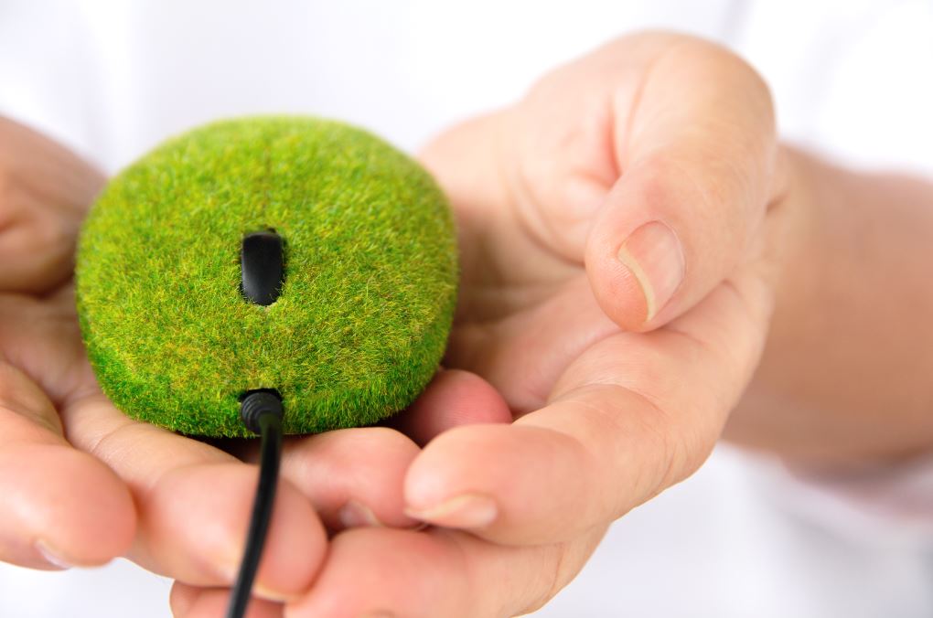 Green mouse, photo from iStock
